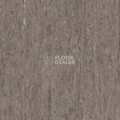 Линолеум Tarkett iq Optima Light brown 0249 фото 1 | FLOORDEALER